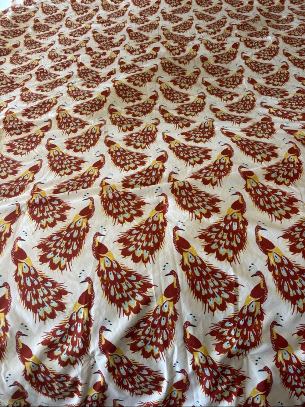 Opalhouse peackcock print comforter twin